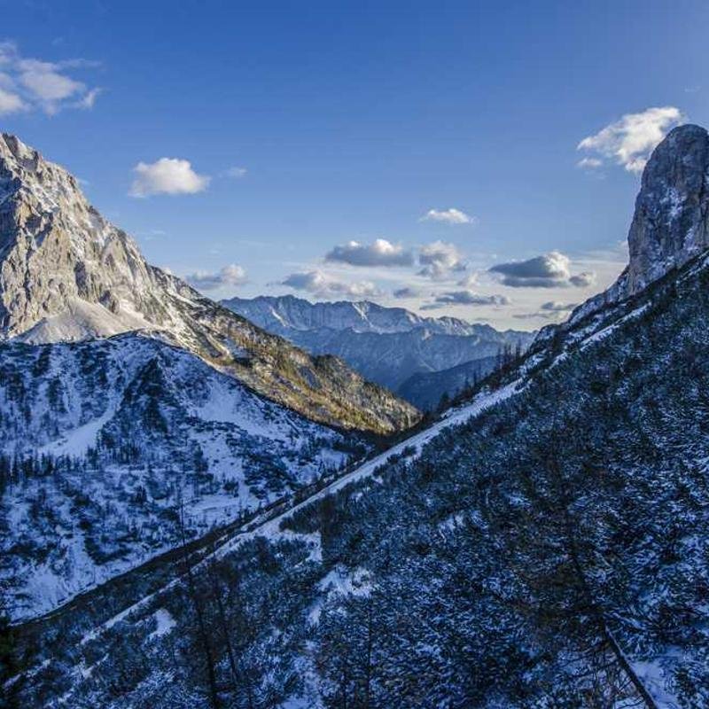 إضاءة محمولة 103