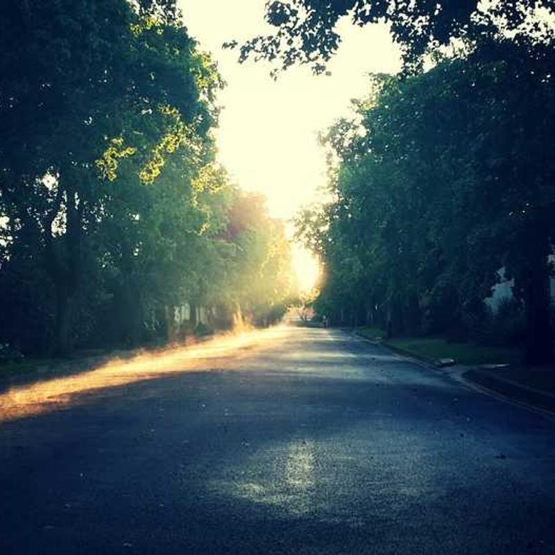 إضاءة محمولة 103