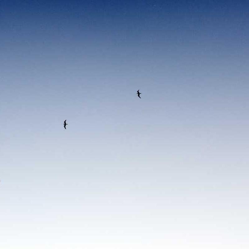 إضاءة محمولة 104