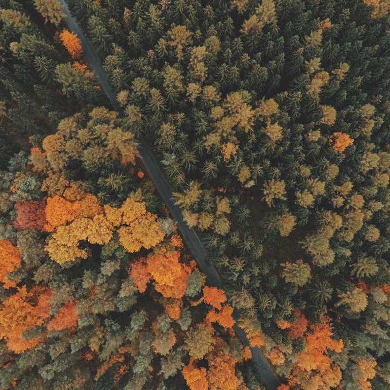 إضاءة استوديو 110