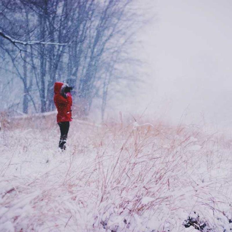 إضاءة استوديو 110